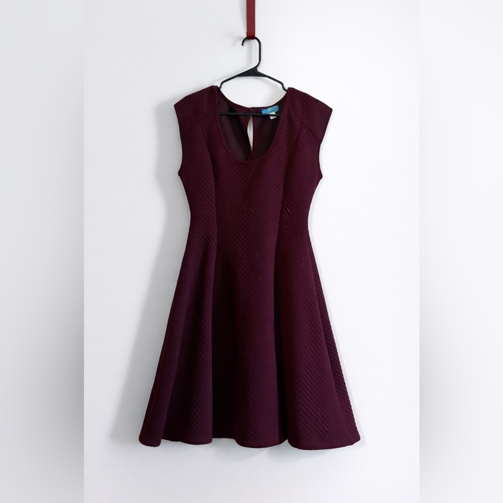 Sleeveless Fit-and-Flare Mini Dress in Burgundy